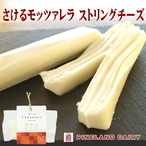 pChf[B̂郂bc@ XgO`[Y