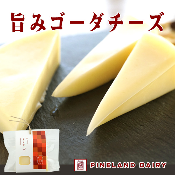 pChf[B̎|݃S[_`[Y