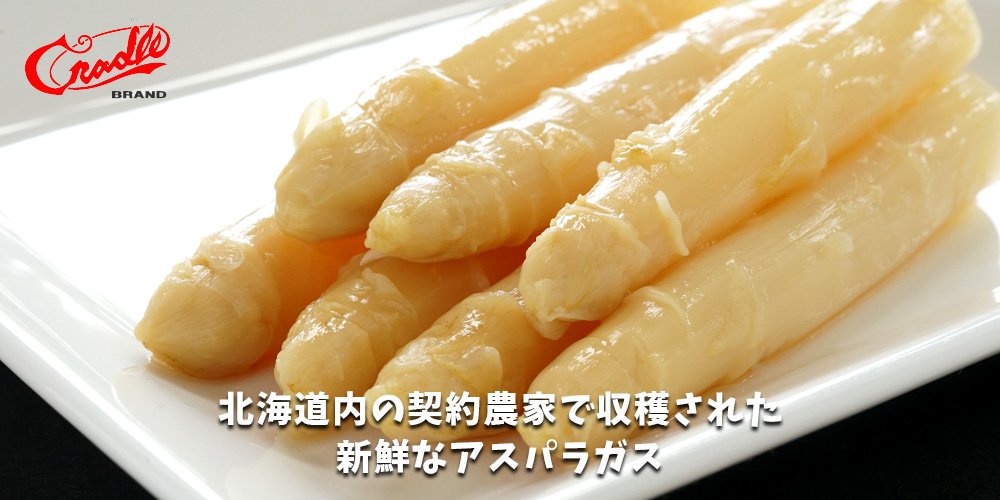クレードル アスパラガス缶詰 250gメイン画像