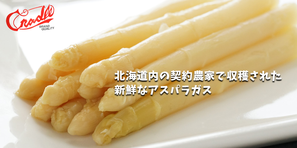 クレードル アスパラガス缶詰 ASW 200g×12缶メイン画像