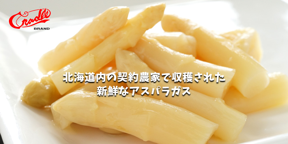 クレードル サラダ用アスパラガス缶詰 200g×6缶メイン画像