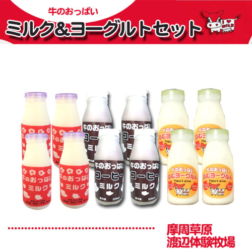 摩周草原 渡辺体験牧場　ミルク＆ヨーグルトセット　特典付き！