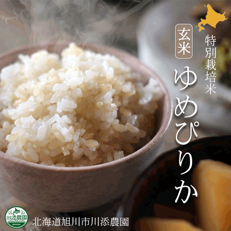 ゆめぴりか 特別栽培米 玄米10kg 令和6年度北海道産【旭川 川添農園】