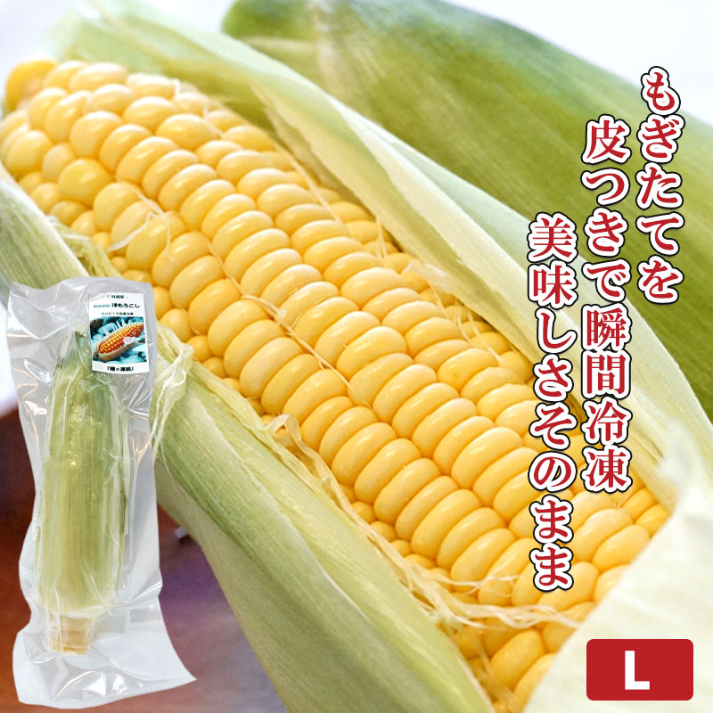 （極）凍結 凍とうもろこし L（約300g～380g）【函館 北海道フーズプランニング】