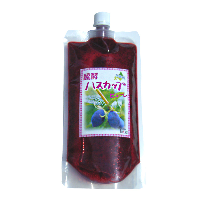 醗酵ハスカップ 冷凍ピューレ 400g【TKSタングロン】