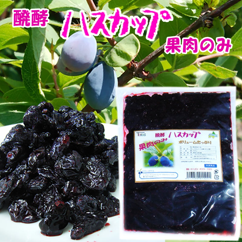 醗酵ハスカップ 果肉のみ 500ｇ【TKSタングロン】