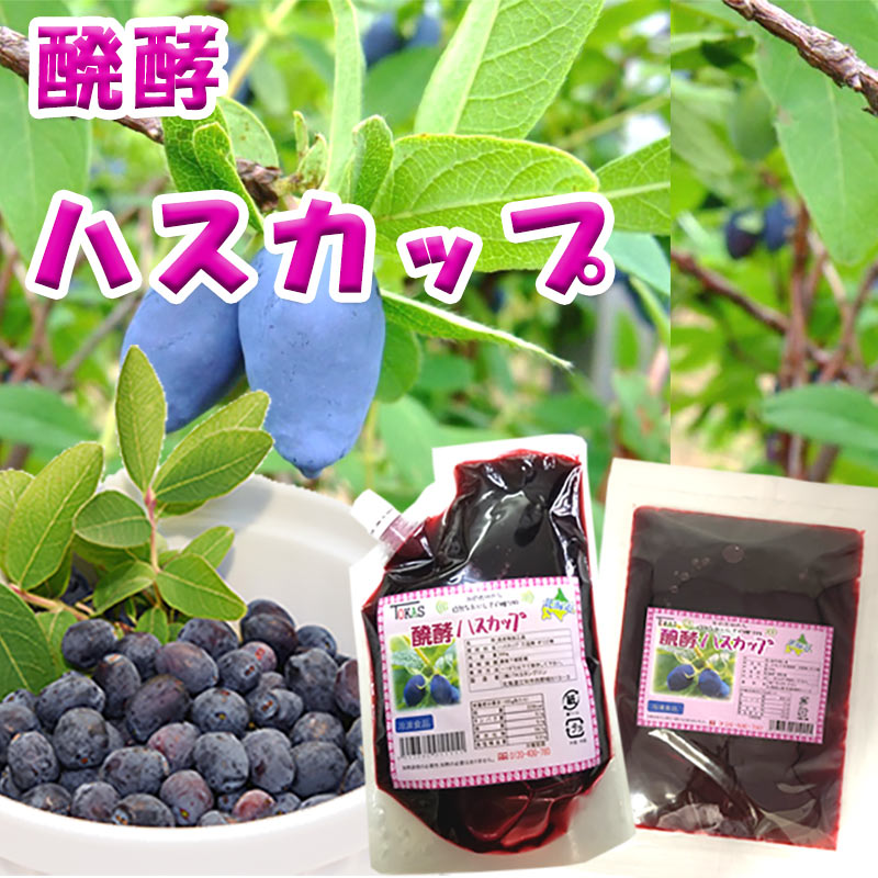 醗酵ハスカップ 500g【TKSタングロン】