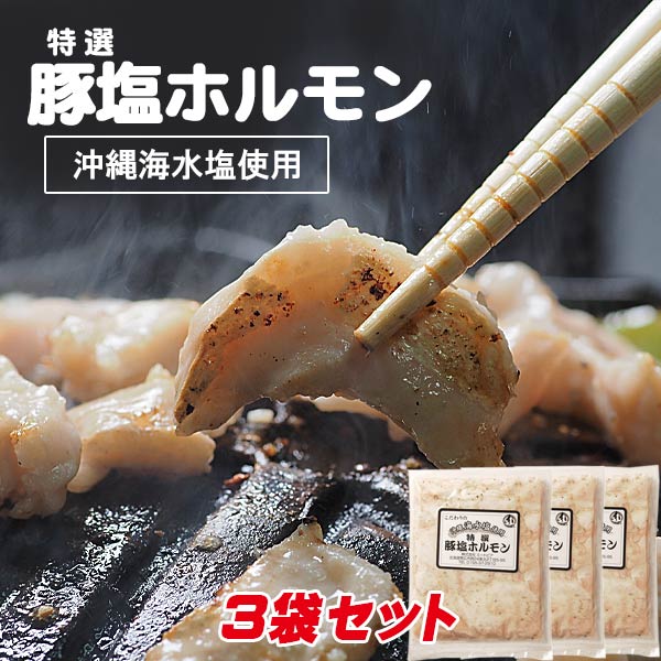 (自宅焼肉用)専門店の味 味付特選豚塩ホルモン 220g×3パック【帯広 ミートピア】
