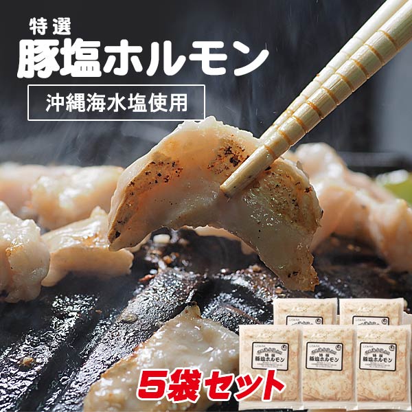 (自宅焼肉用)専門店の味 味付特選豚塩ホルモン 220g×5パック【帯広 ミートピア】