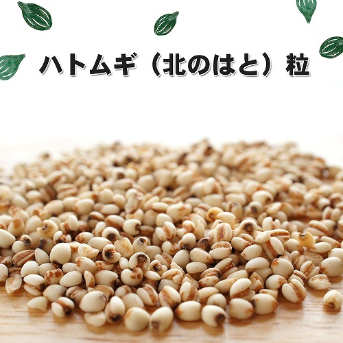 ハトムギ（北のはと）粒 【国産生薬】