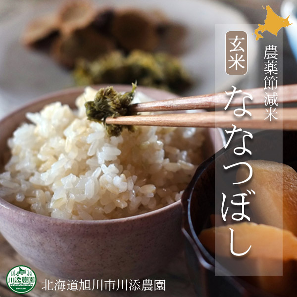 ななつぼし 農薬節減米 玄米5kg 令和6年度北海道産【旭川 川添農園】