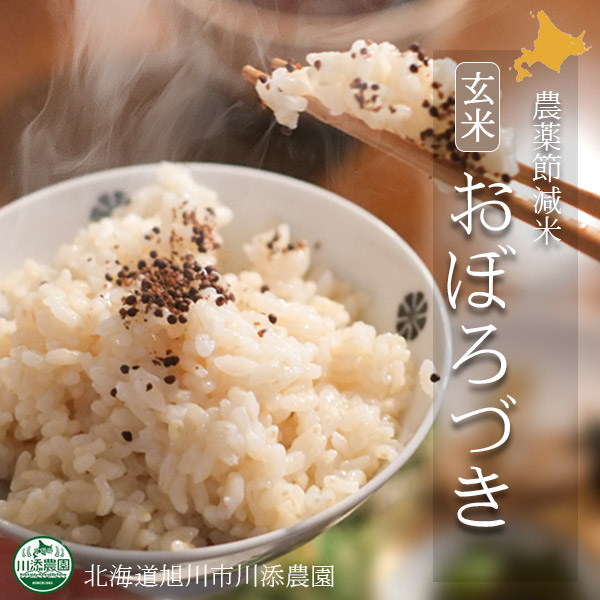 おぼろづき 農薬節減米 玄米5kg 令和6年度北海道産【旭川 川添農園】