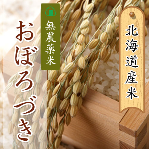 あじわいの里 中野商店 北海道産 無農薬米おぼろづき5kg 【三角山市場】