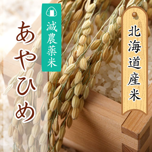 あじわいの里 中野商店 北海道産 減農薬米あやひめ5kg 【三角山市場】