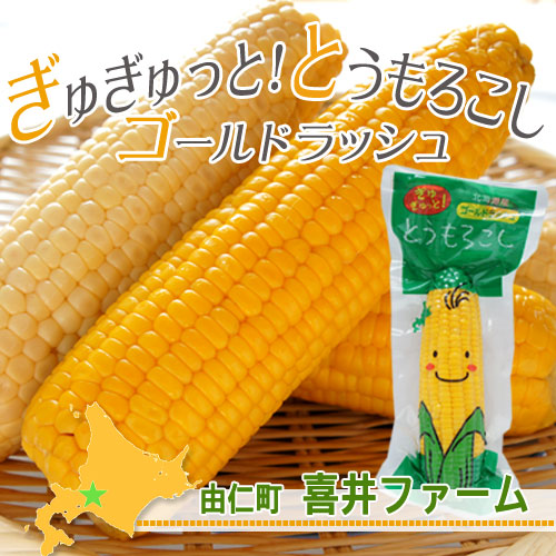 ぎゅぎゅっと！とうもろこしゴールドラッシュ【由仁町 喜井ファーム】
