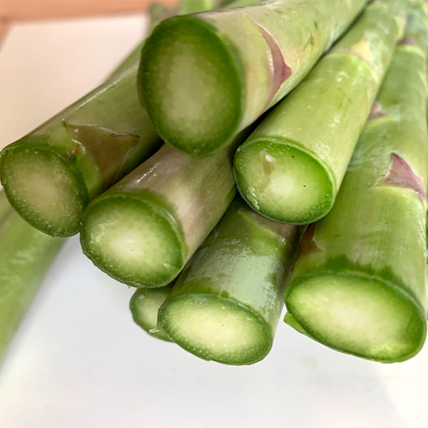 美幌産のアスパラガスは、旨味成分のアミノ酸がたっぷり含まれています。