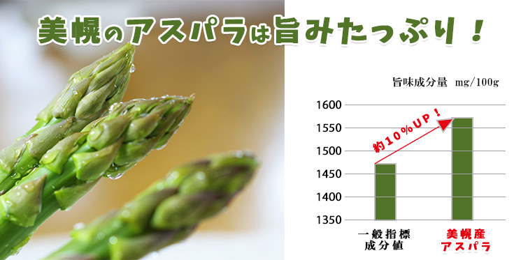 グリーンアスパラガス ハウス春芽２L 1kg
