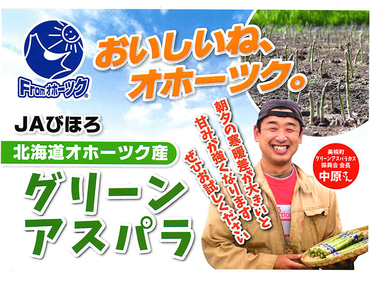 グリーンアスパラガス ハウス春芽２L 1kg