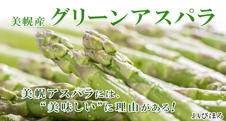 グリーンアスパラガス ハウス春芽２L 1kg【JAびほろ】