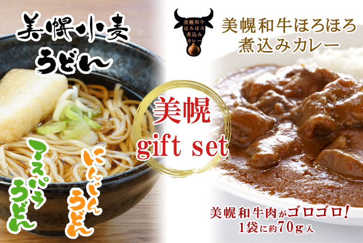 「美幌小麦うどん つゆ付4食入」と「美幌和牛ほろほろ煮込みカレー2個入」ギフトセット【JAびほろ】
