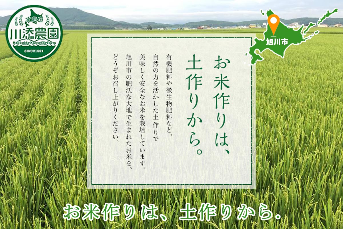 「農薬節減米」北海道産おぼろづき（玄米）5kg【旭川 川添農園】
