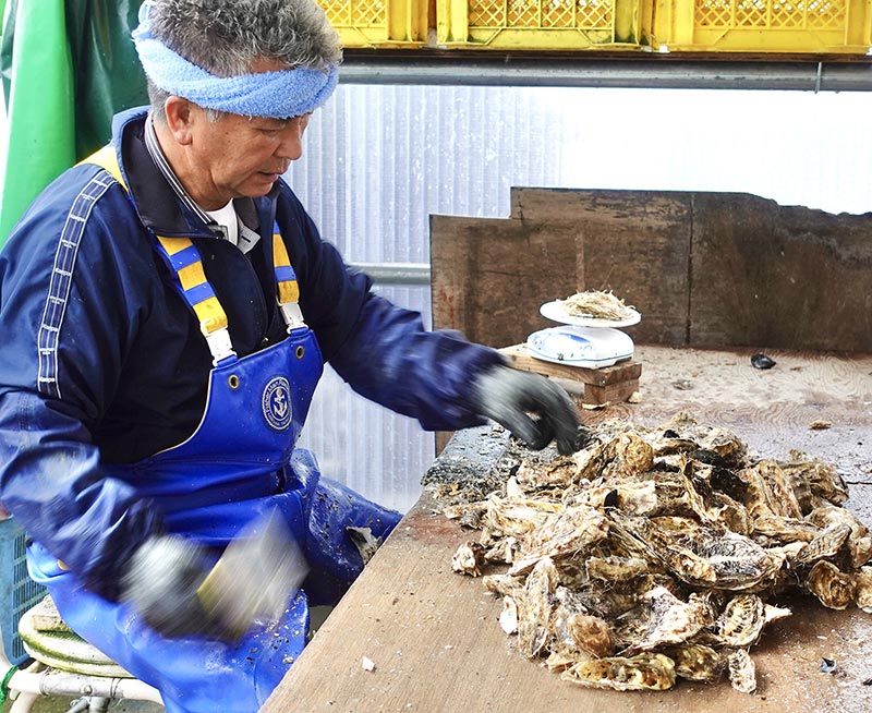 選びぬかれた「昆布の森の牡蠣」