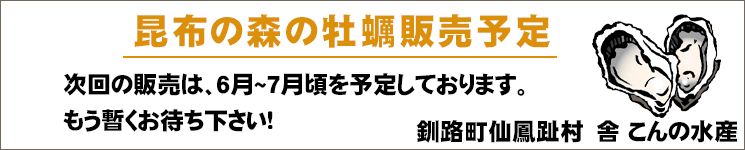 昆布の森の海、仙鳳趾で育った大きな牡蠣の販売予定
