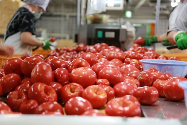 下川町農産物加工研究所