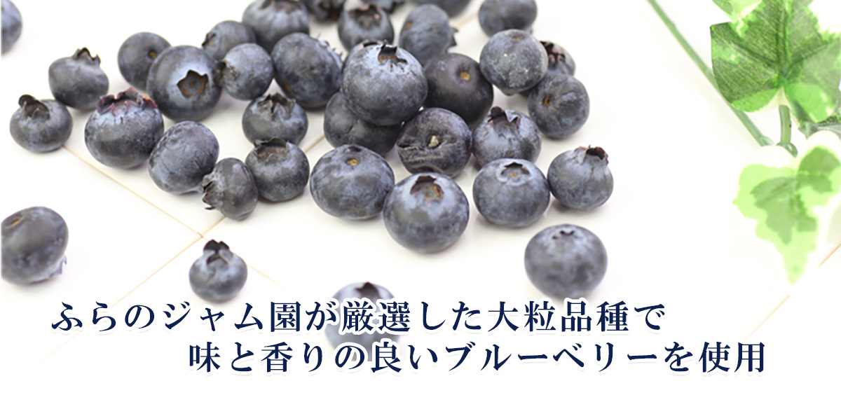富良野ジャム ブルーベリージャム（業務用1ｋｇ）【共済農場】