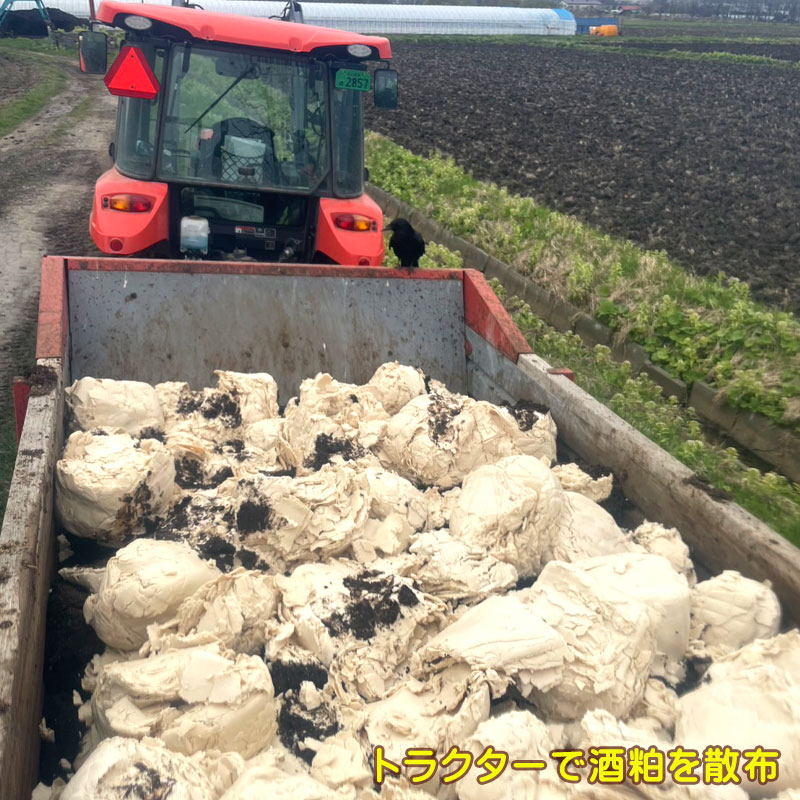 肥料には酒粕800kgと自家製推肥を使用し化学肥料不使用【北広島 北海道グルメ倶楽部】
