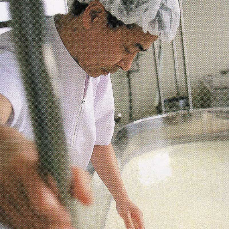 それぞれの製品に違いが見られます。