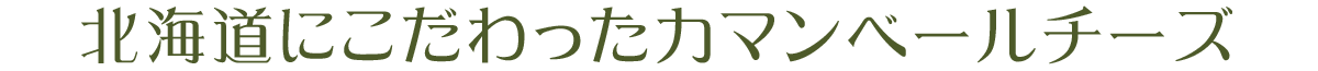 北海道にこだわったカマンベールチーズ