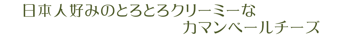 日本人好みのとろとろクリーミーなカマンベールチーズ