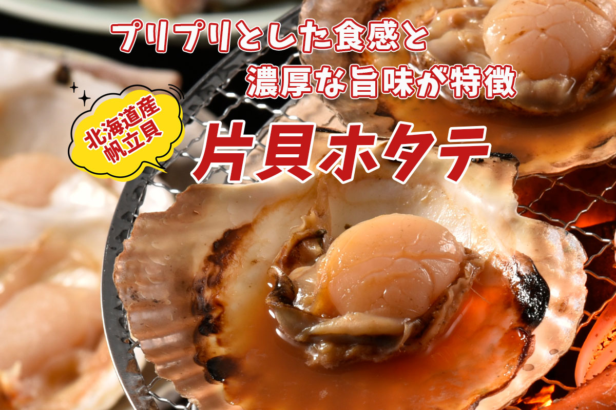 （送料無料）片貝ホタテ（約1～2人前）【小樽協和食品】