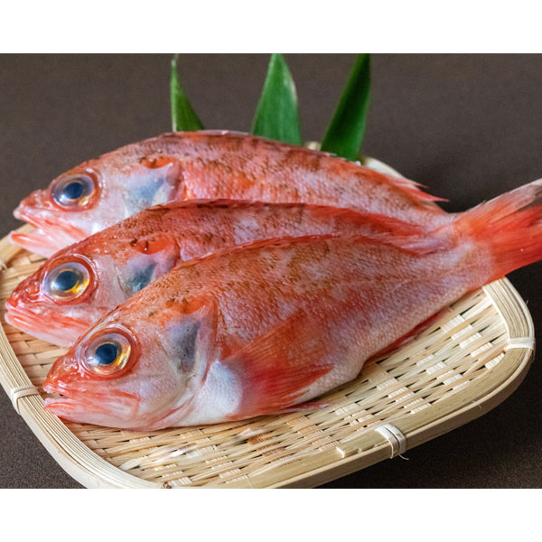 風物詩ともなっているキンキのいずし（飯寿し）