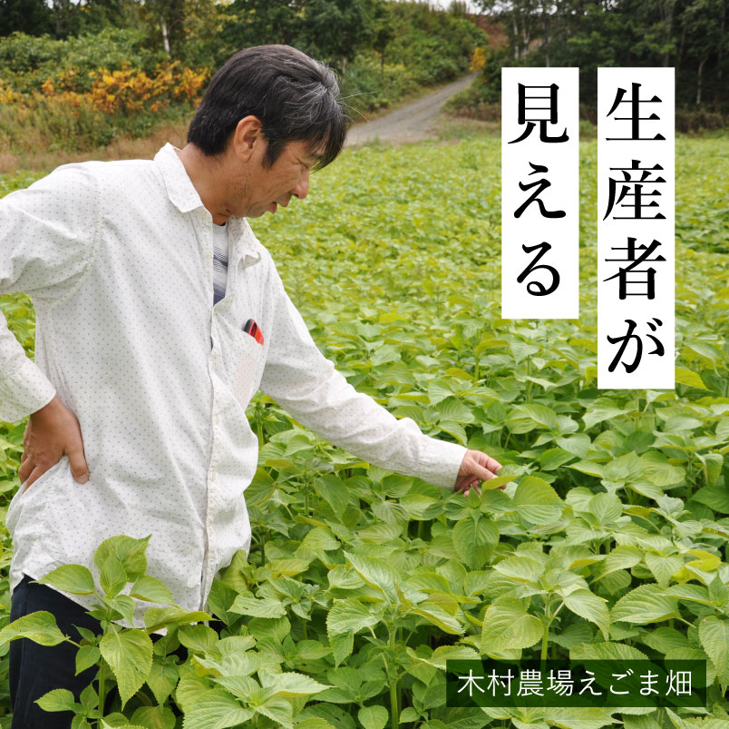 生産者が見える　木村農場のごま畑紹介