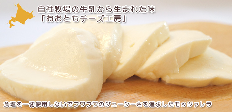 フレッシュモッツァレラチーズ