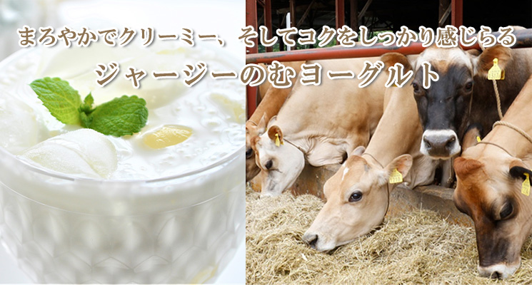 十勝加藤牧場ジャージーゴールデンのむヨーグルト（スイート）500mlメイン画像