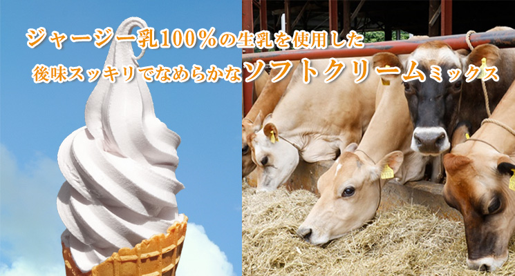 ジャージーソフトクリームミックスソ5L画像