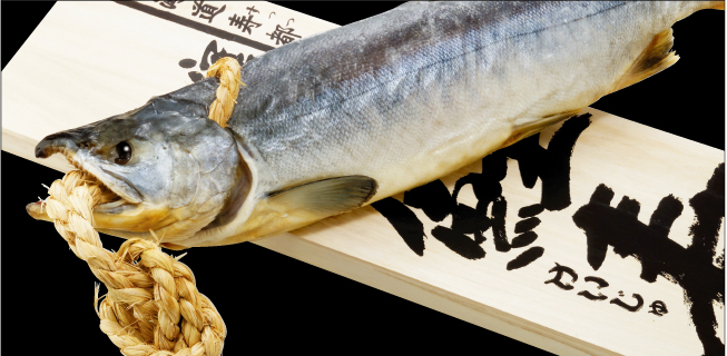 マルトシ吉野商店の看板商品「寒風やぐら干し 鮭寿」