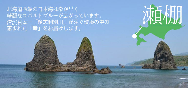 漁師のいかめし(ワカメ&ごま入)2尾入