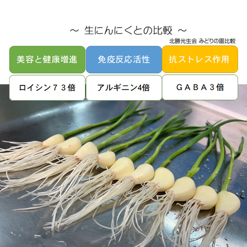 生にんにくの上に君臨するガーリックスプラウト