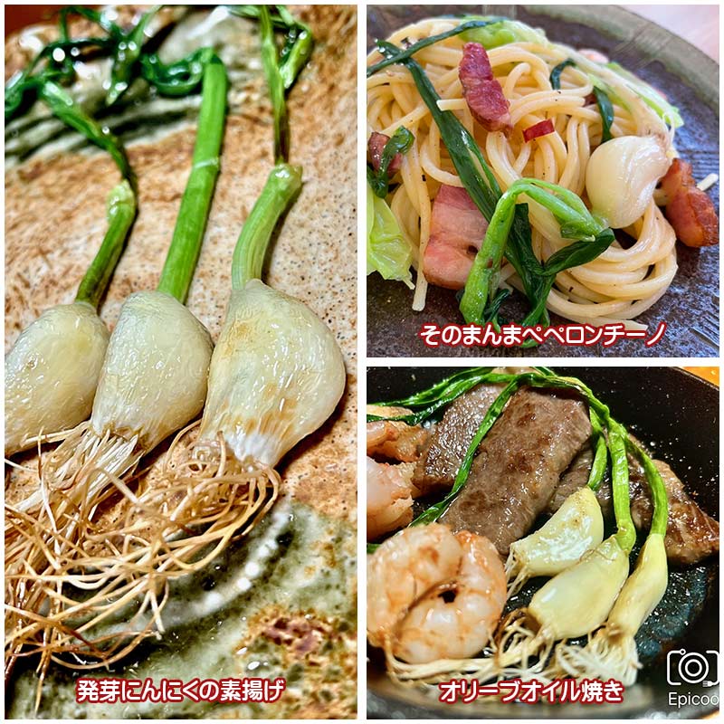 ガーリックスプラウトの美味しい食べ方は、無限大