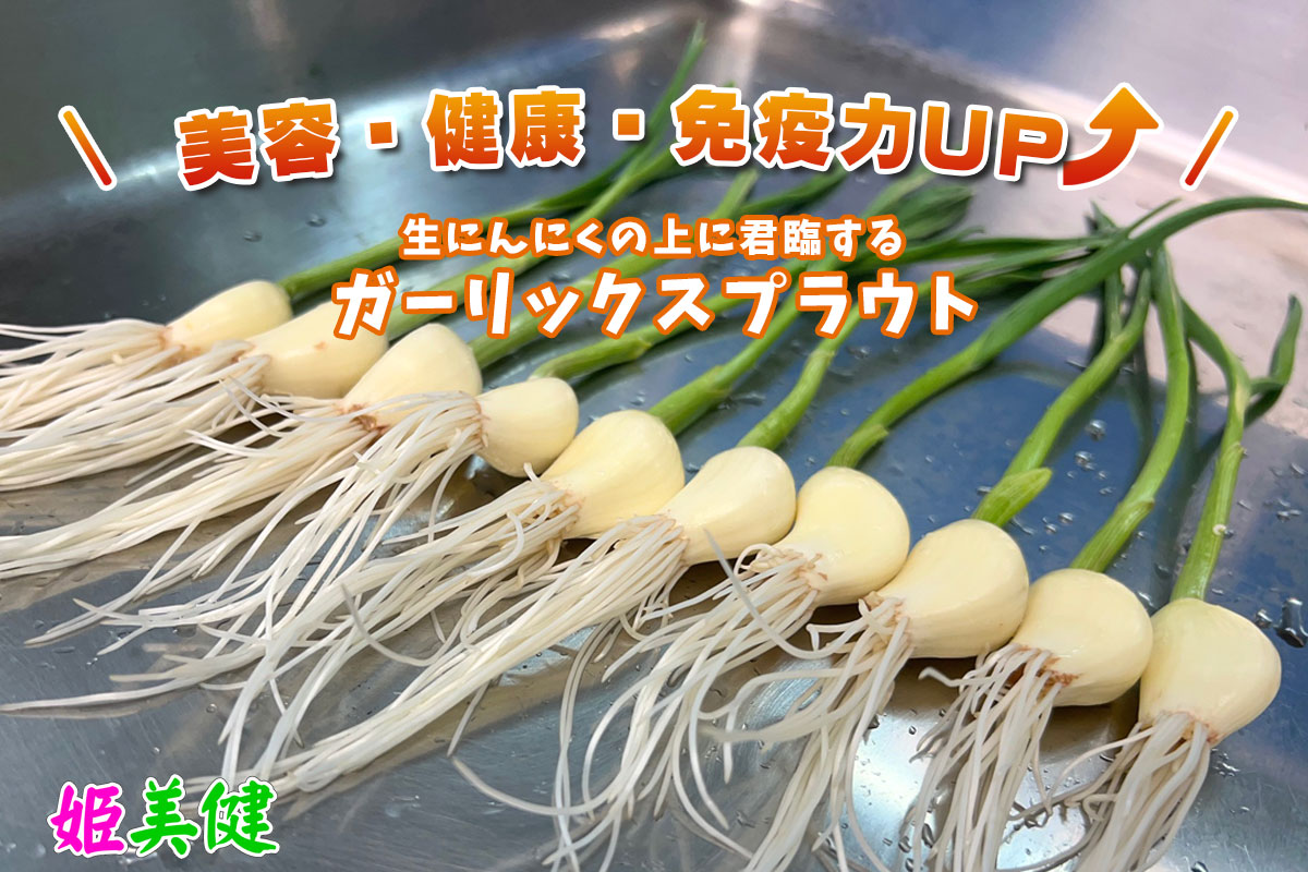発芽にんにく 姫美健（ひめびけん）