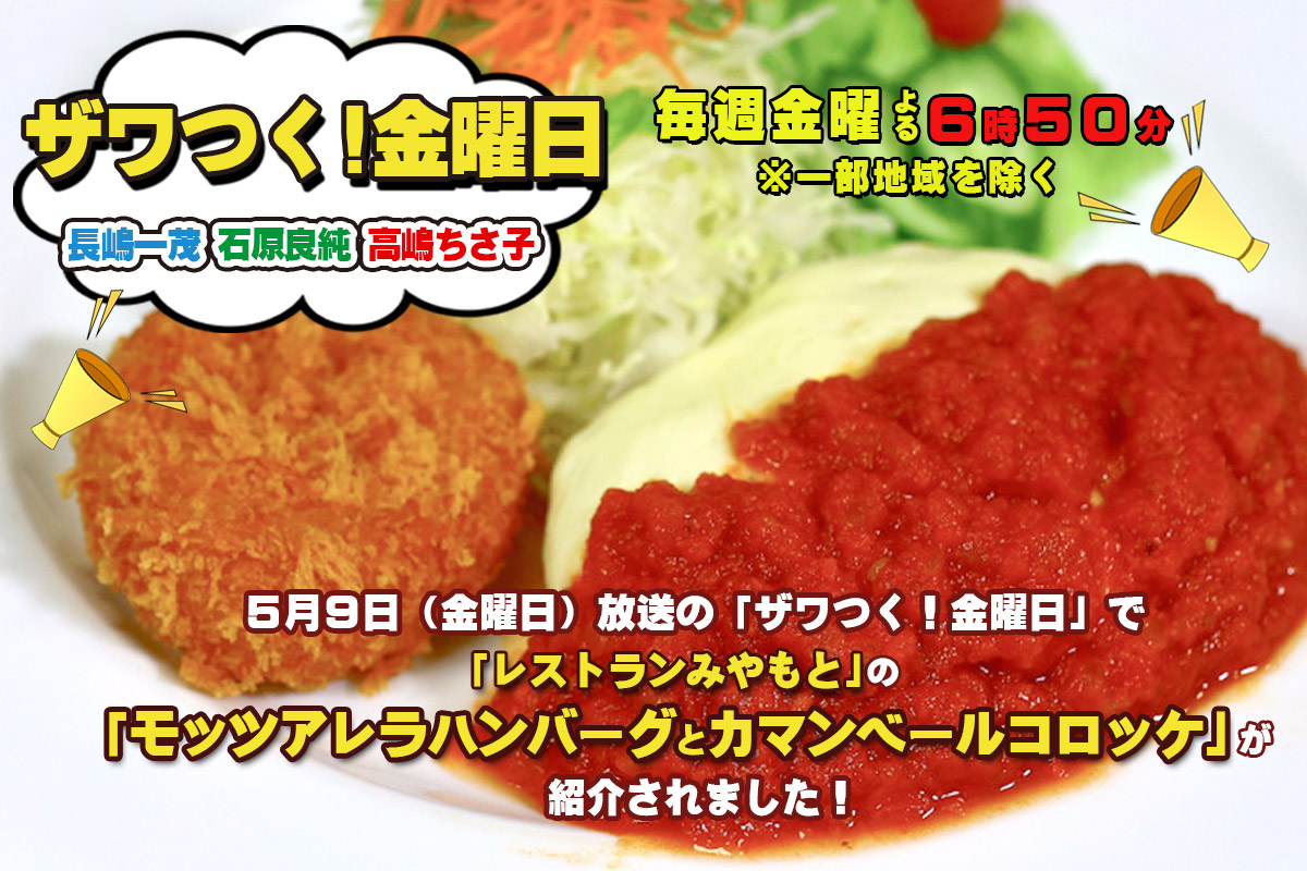 モッツアレラハンバーグとカマンベールコロッケセット