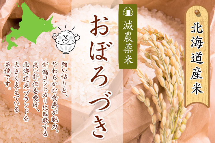 北海道産 減農薬米おぼろつき【あじわいの里 中野商店 三角山市場】