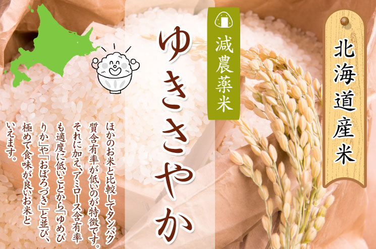 北海道産 減農薬米 ゆきさやか【あじわいの里 中野商店 三角山市場】