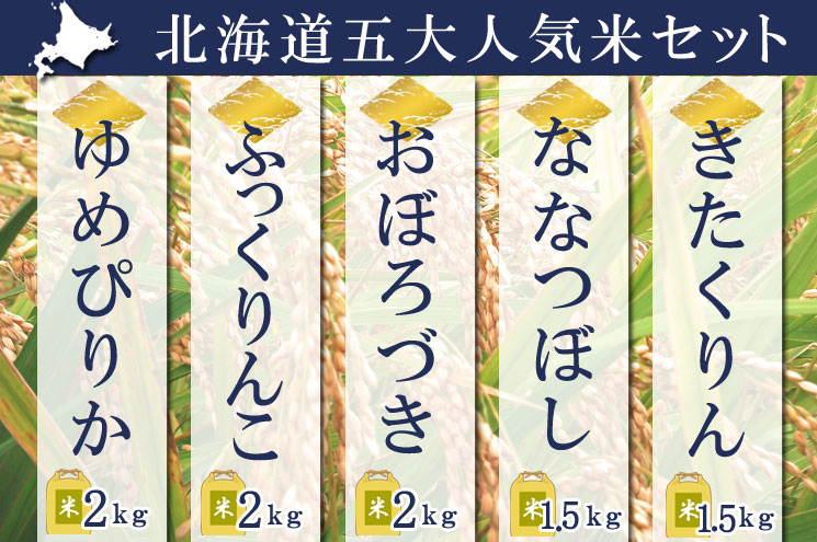 北海道五大人気米セット（合計9ｋｇ）【あじわいの里 中野商店 三角山市場】