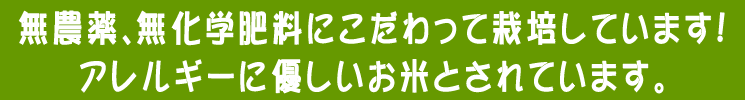 北海道産 無農薬米 ふっくりんこ【あじわいの里 中野商店 三角山市場】