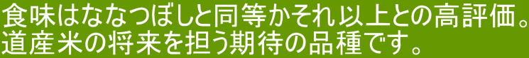 北海道産 減農薬米きたくりん【あじわいの里 中野商店 三角山市場】